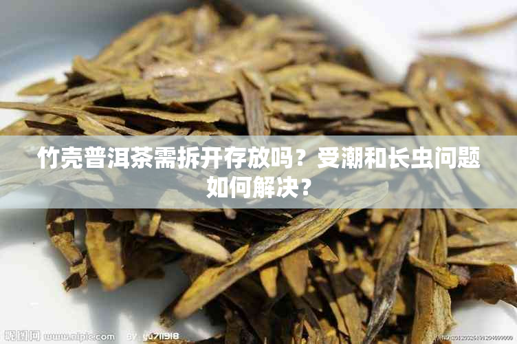 竹壳普洱茶需拆开存放吗？受潮和长虫问题如何解决？