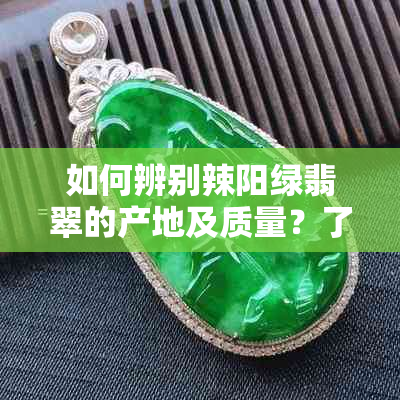 如何辨别辣阳绿翡翠的产地及质量？了解这些关键信息即可全面解决问题