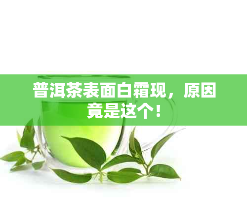 普洱茶表面白霜现，原因竟是这个！