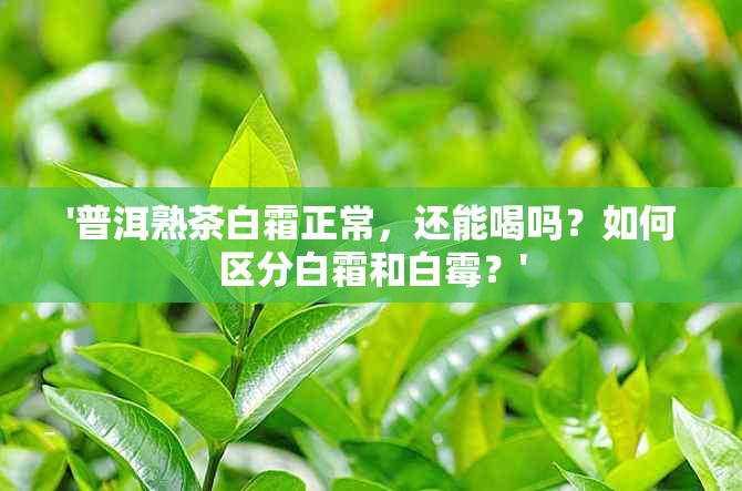 '普洱熟茶白霜正常，还能喝吗？如何区分白霜和白霉？'