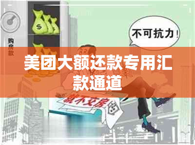 美团大额还款专用汇款通道