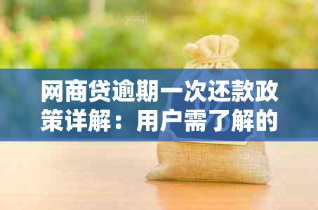 网商贷逾期一次还款政策详解：用户需了解的全额还款细节与可能影响