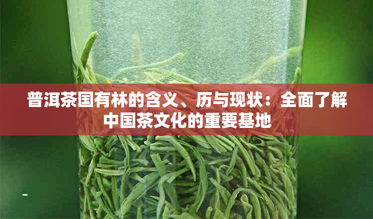 普洱茶国有林的含义、历与现状：全面了解中国茶文化的重要基地