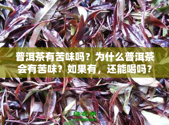 普洱茶有苦味吗？为什么普洱茶会有苦味？如果有，还能喝吗？