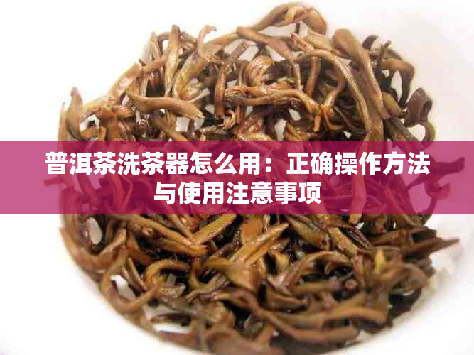 普洱茶洗茶器怎么用：正确操作方法与使用注意事项