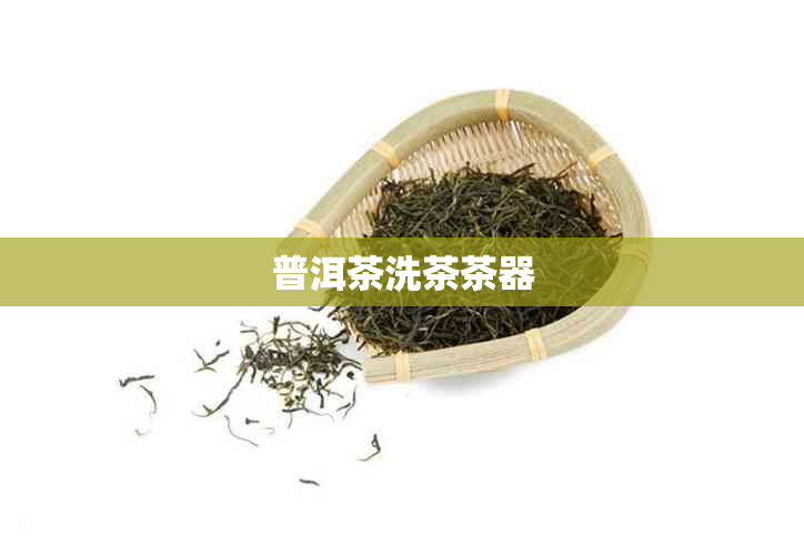 普洱茶洗茶茶器