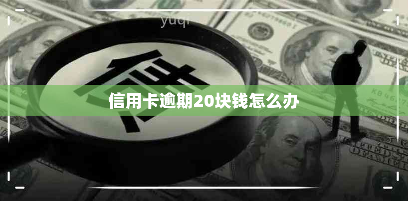 信用卡逾期20块钱怎么办