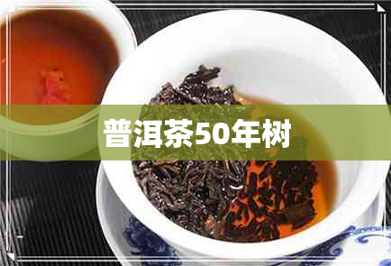 普洱茶50年树