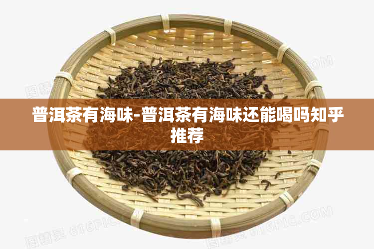 普洱茶有海味-普洱茶有海味还能喝吗知乎推荐