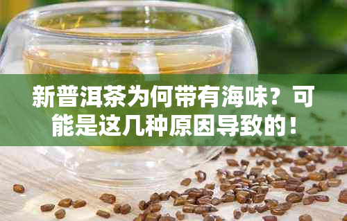 新普洱茶为何带有海味？可能是这几种原因导致的！