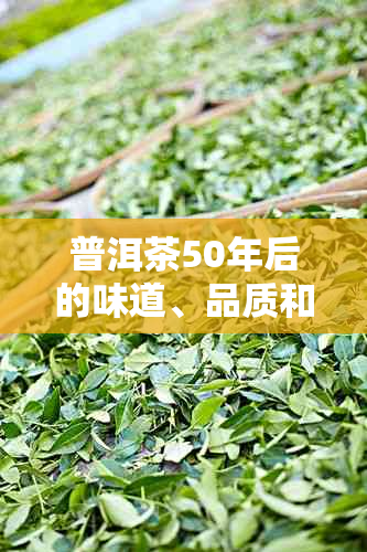 普洱茶50年后的味道、品质和保存方法：是否仍然适合饮用？