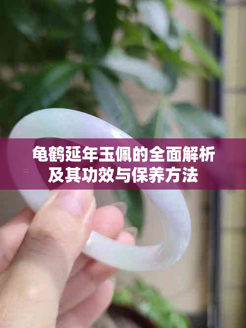 龟鹤延年玉佩的全面解析及其功效与保养方法