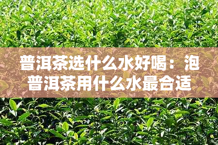 普洱茶选什么水好喝：泡普洱茶用什么水最合适？