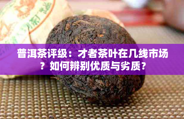 普洱茶评级：才者茶叶在几线市场？如何辨别优质与劣质？