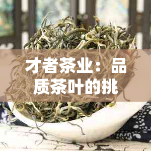 才者茶业：品质茶叶的挑选、泡法与品鉴，一篇全面的茶文化指南