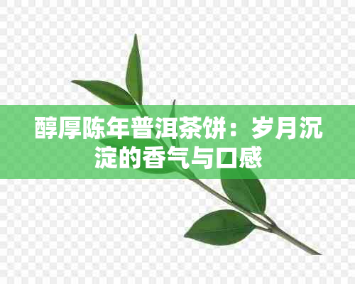 醇厚陈年普洱茶饼：岁月沉淀的香气与口感