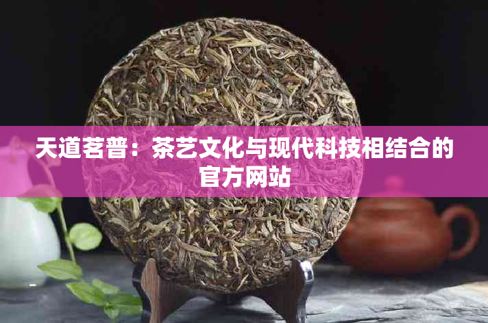 天道茗普：茶艺文化与现代科技相结合的官方网站