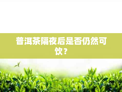 普洱茶隔夜后是否仍然可饮？