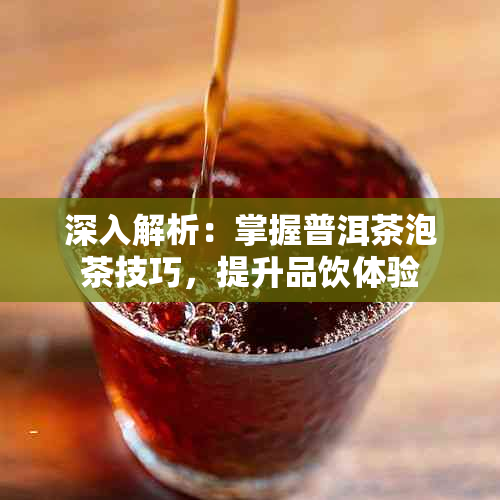 深入解析：掌握普洱茶泡茶技巧，提升品饮体验