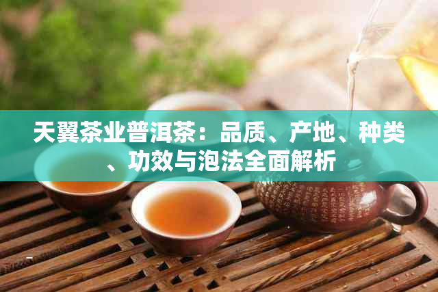 天翼茶业普洱茶：品质、产地、种类、功效与泡法全面解析