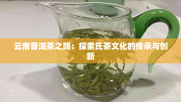 云南普洱茶之路：探索氏茶文化的传承与创新