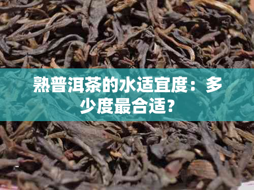 熟普洱茶的水适宜度：多少度最合适？