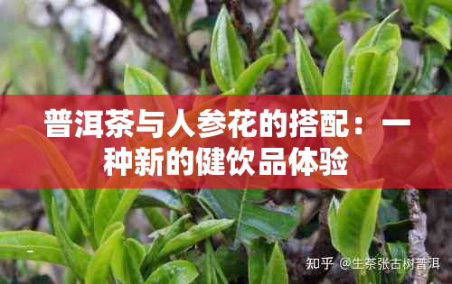 普洱茶与人参花的搭配：一种新的健饮品体验