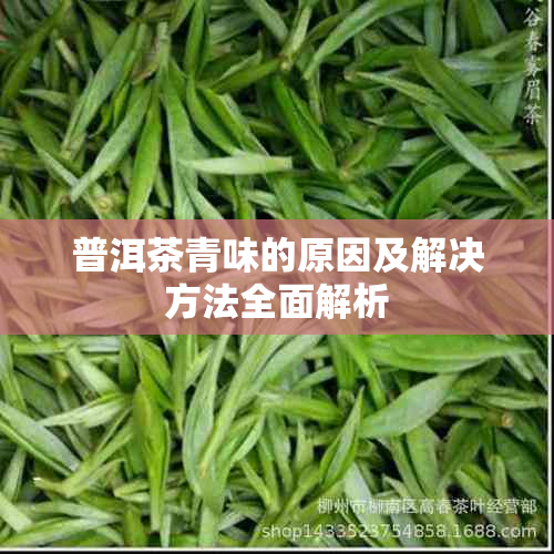 普洱茶青味的原因及解决方法全面解析