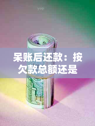 呆账后还款：按欠款总额还是已还款金额处理？探讨实际操作中的界定问题