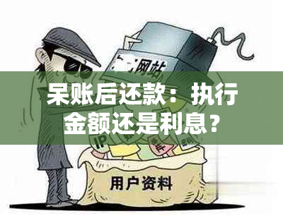 呆账后还款：执行金额还是利息？