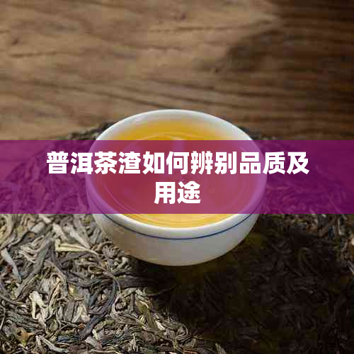 普洱茶渣如何辨别品质及用途