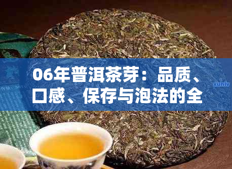 06年普洱茶芽：品质、口感、保存与泡法的全面指南