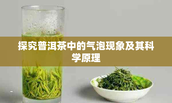 探究普洱茶中的气泡现象及其科学原理