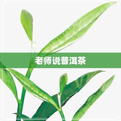 老师说普洱茶