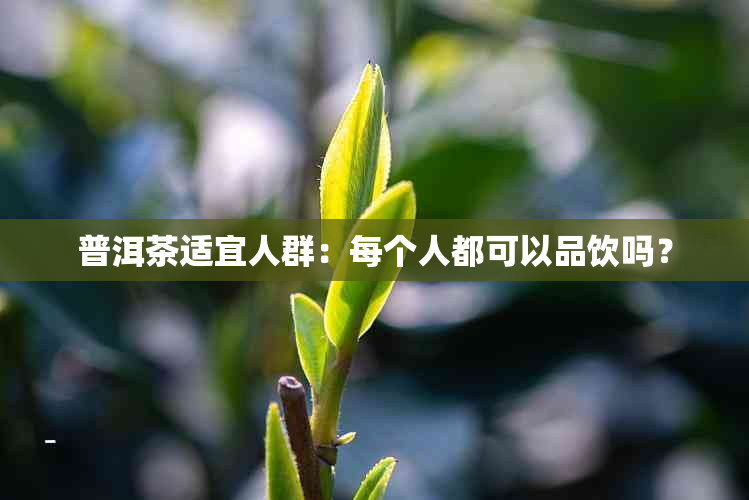 普洱茶适宜人群：每个人都可以品饮吗？