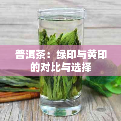 普洱茶：绿印与黄印的对比与选择