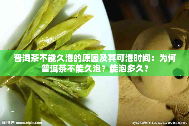 普洱茶不能久泡的原因及其可泡时间：为何普洱茶不能久泡？能泡多久？