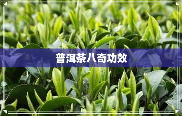 普洱茶八奇功效