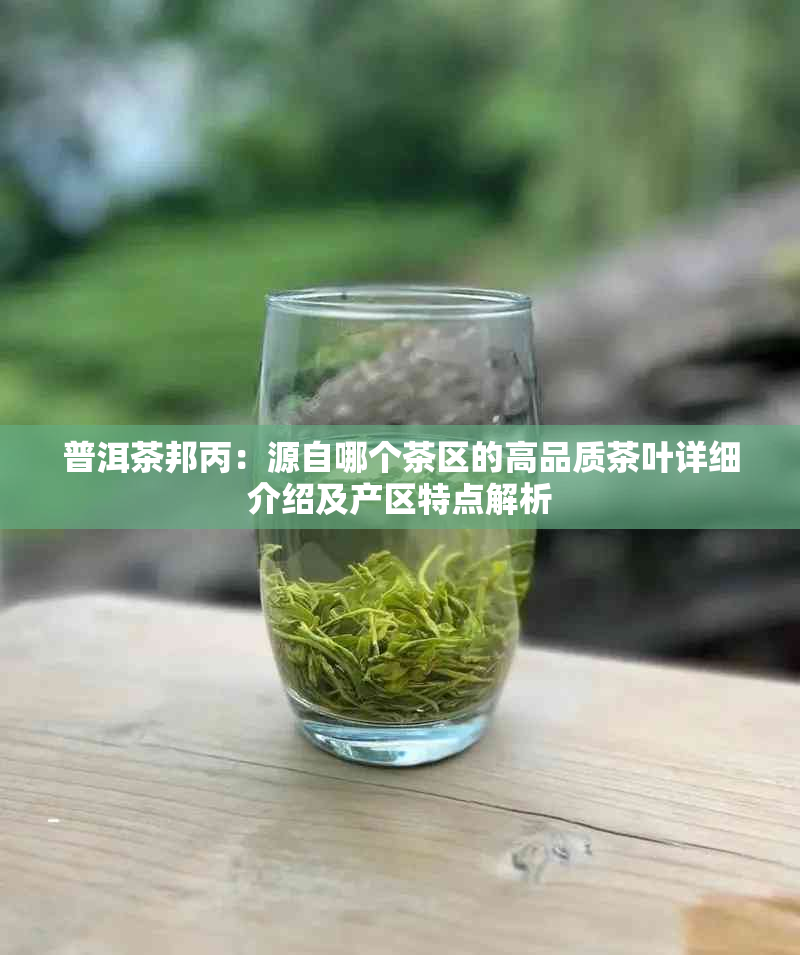 普洱茶邦丙：源自哪个茶区的高品质茶叶详细介绍及产区特点解析