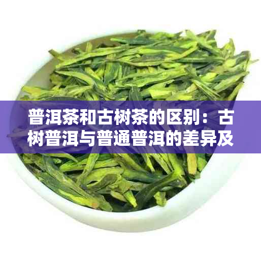 普洱茶和古树茶的区别：古树普洱与普通普洱的差异及它们的特点。