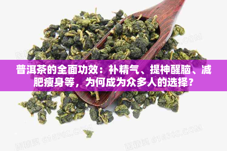 普洱茶的全面功效：补精气、提神醒脑、减肥瘦身等，为何成为众多人的选择？