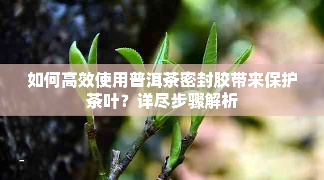 如何高效使用普洱茶密封胶带来保护茶叶？详尽步骤解析