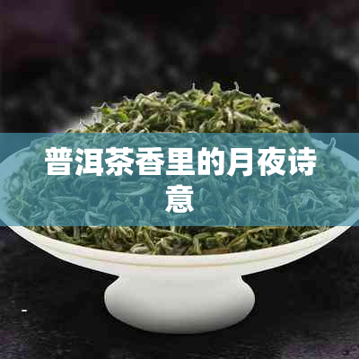 普洱茶香里的月夜诗意