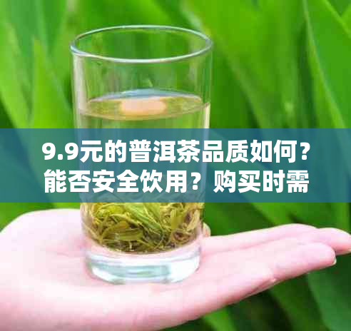 9.9元的普洱茶品质如何？能否安全饮用？购买时需注意哪些因素？