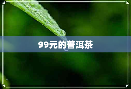 99元的普洱茶