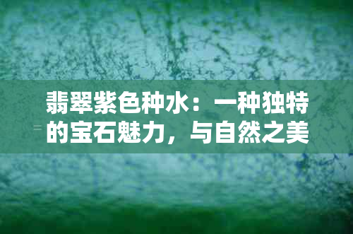 翡翠紫色种水：一种独特的宝石魅力，与自然之美相融合