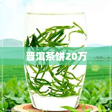 普洱茶饼20万