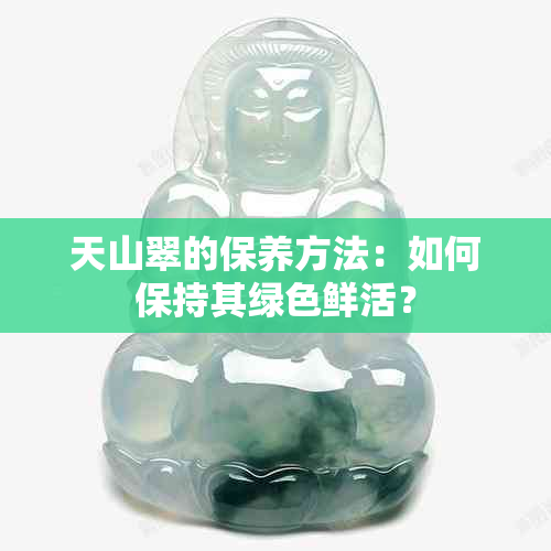 天山翠的保养方法：如何保持其绿色鲜活？