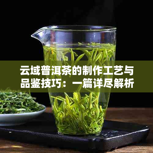 云域普洱茶的制作工艺与品鉴技巧：一篇详尽解析