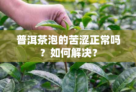 普洱茶泡的苦涩正常吗？如何解决？